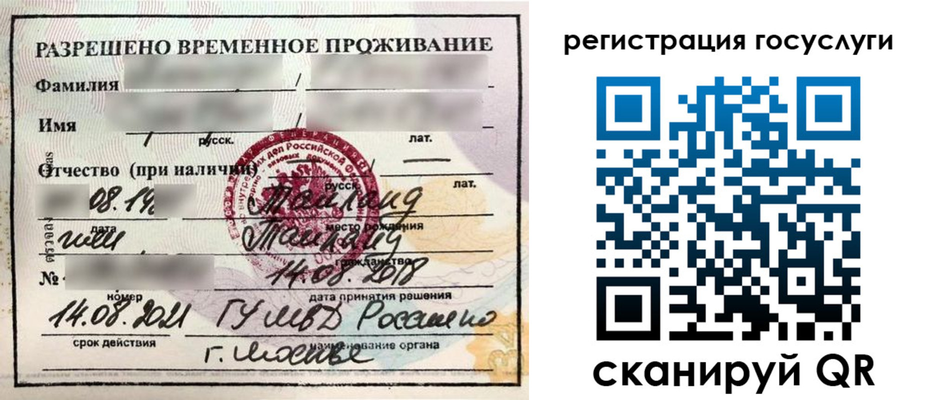 прописка в Лосино-Петровском